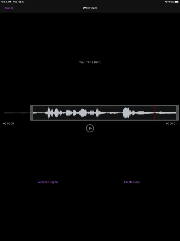 تصاویر You Record Pro iPad 